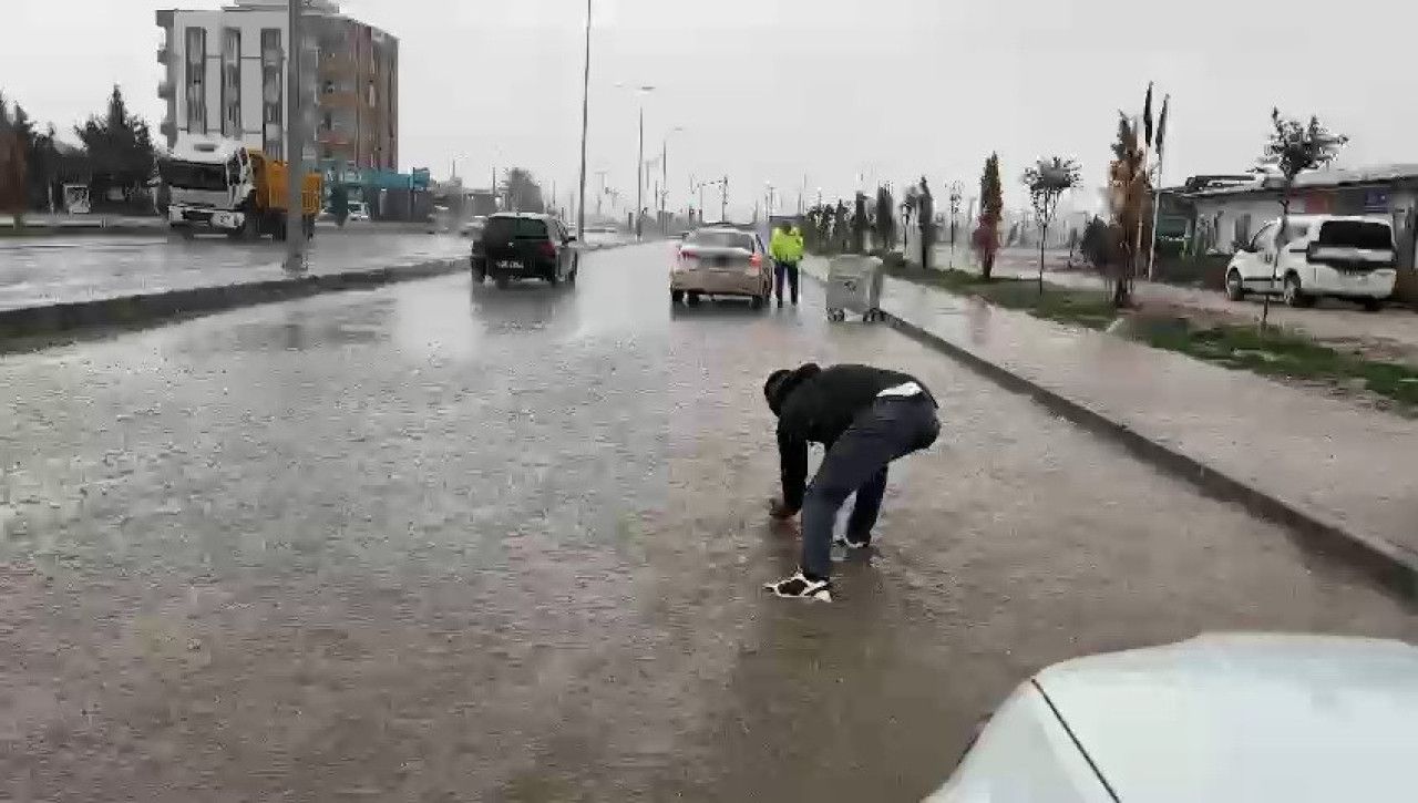 Merhametli Gazeteci, Sel Sularında Mücadele Eden Serçeyi Kurtarıyor