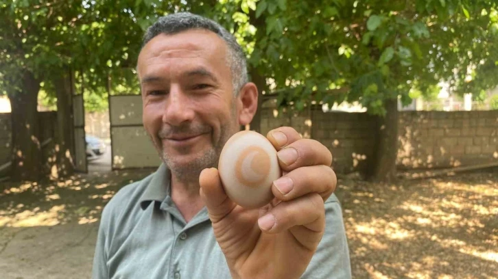 Adıyaman'da Hilal İşaretli Yumurta Büyük Şaşkınlık Yarattı