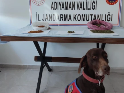 Adıyaman'da Sentetik Uyuşturucu Operasyonu: 2 Gözaltı