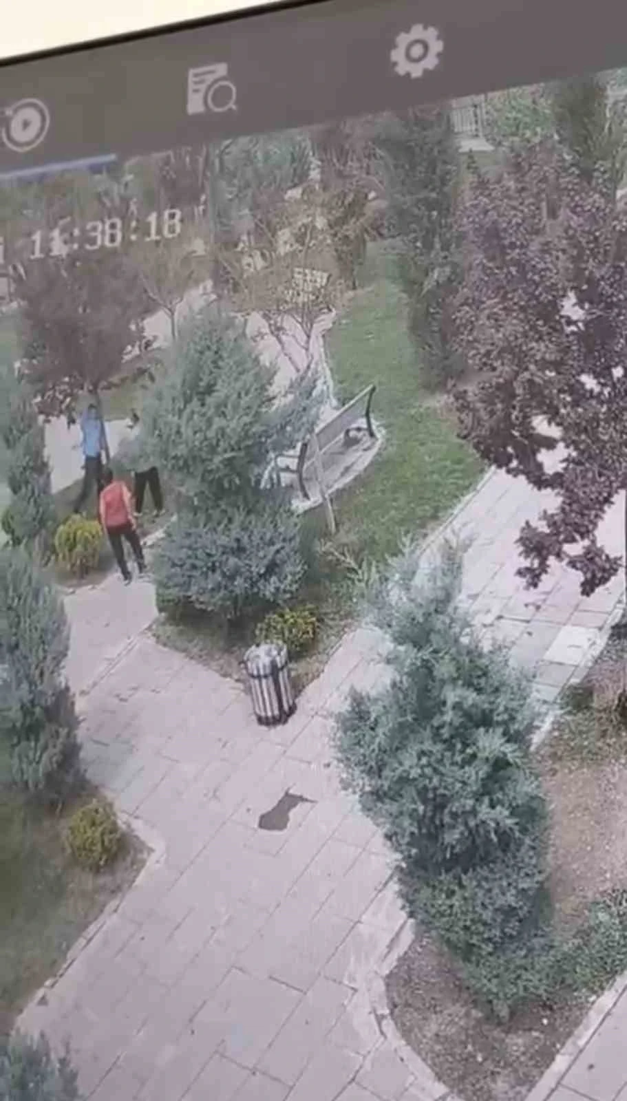  Ağaçlara Zarar Veren Gençler Güvenlik Kameralarına Yakalandı