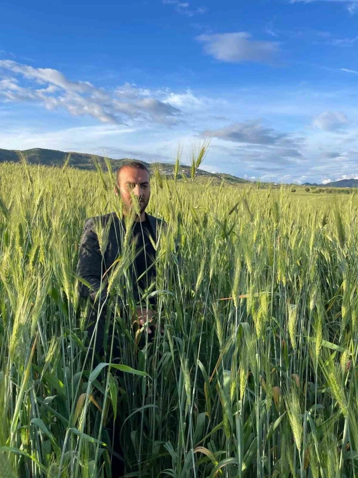 Ata Tohumları Diyarbakır'da Bereket Saçıyor