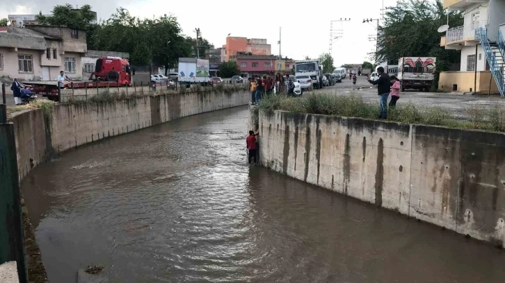 Batman'da Bir Kahramanlık Öyküsü: Kedi Kurtarma Operasyonu Sırasında Lise Öğrencisi Mahsur Kaldı