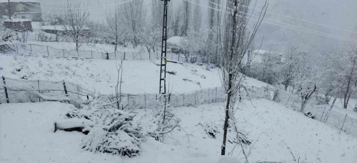 Batman'da Yoğun Kar Yağışı Hayatı Felç Etti: 80'den Fazla Köy Yolu Kapandı