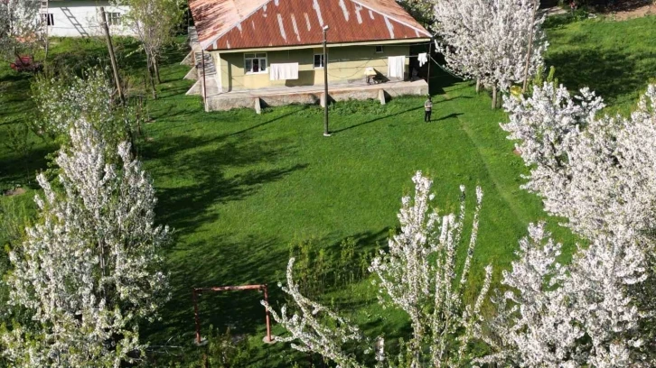 Beytüşşebap'ın Bahar Manzaraları Göz Kamaştırıyor