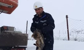 Bitlis'teki Köylülerin Karla İmtihanı: Toprak Dam Temizliği