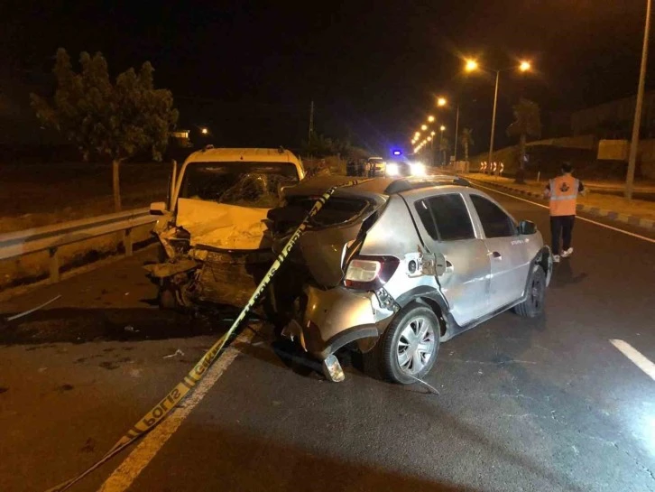 Cizre'de Feci Kaza: &Ccedil;oban Hayatını Kaybetti, Hayvanlar Telef Oldu