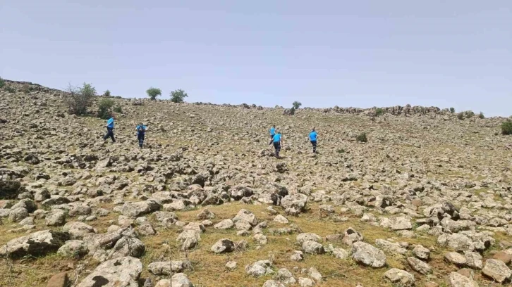 Diyarbakır Çermik'te Kaybolan Çoban İçin Geniş Çaplı Arama Çalışmaları Devam Ediyor
