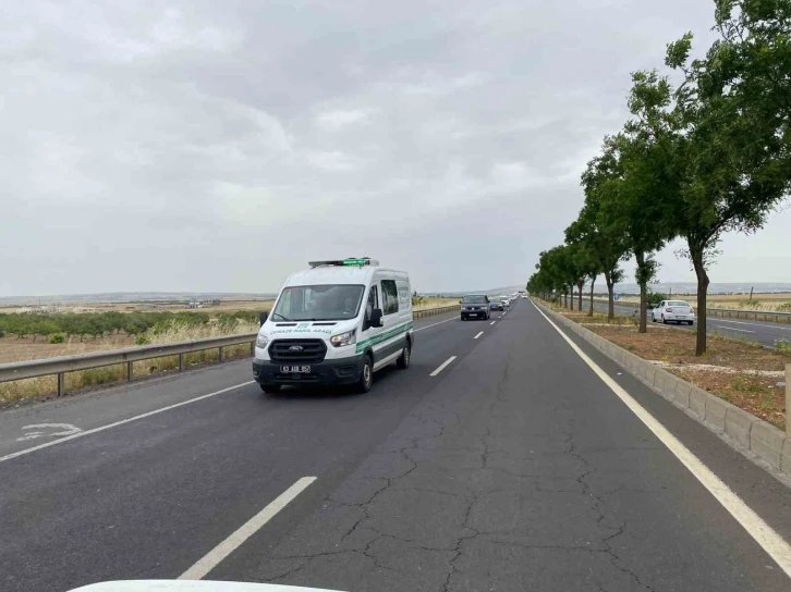 Diyarbakır'da Biyo Çeşitlilik Bilinci: Dicle Vadisi ve Hevsel Bahçelerinde Anlamlı Etkinlik