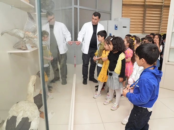 Diyarbakır'da Çocuklar Doğa Sevgisiyle Buluşuyor: Zooloji Müzesi