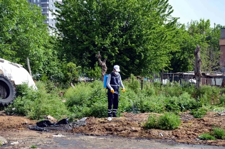 Diyarbakır'da Kapsamlı Haşere İlaçlama Çalışmaları Devam Ediyor