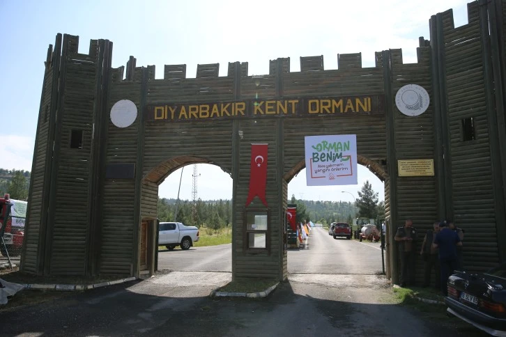Diyarbakır ve Mardin'de "Orman Benim" Kampanyası: Farkındalık ve Eylem