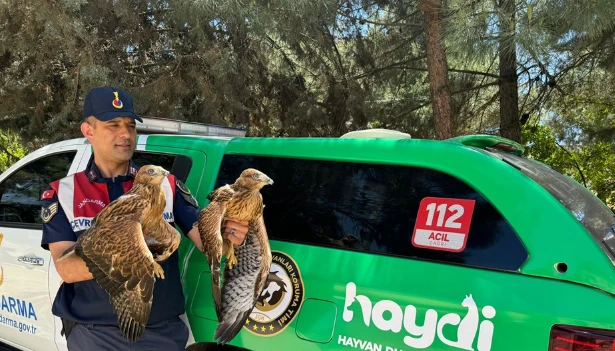  Doğanın Kucağına Dönüşleri