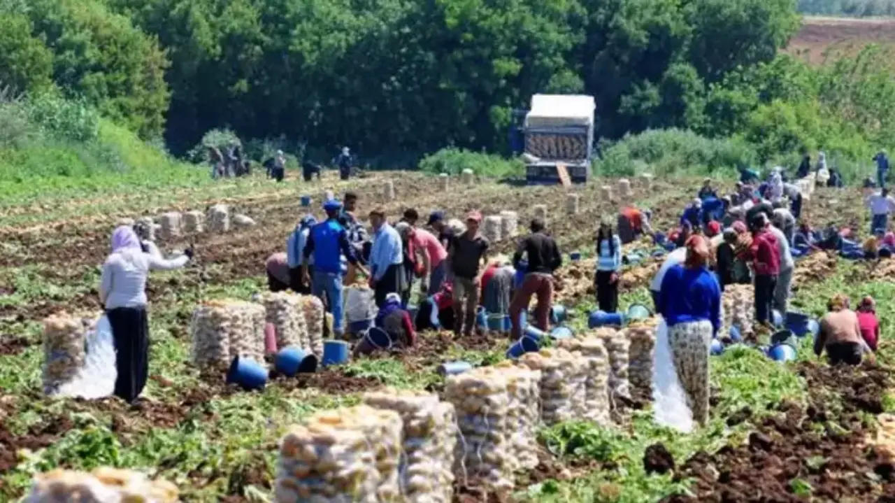 Edirne'nin Yeni Girişimcisi Depremzede Şengül Tatar'ın Başarı Öyküsü