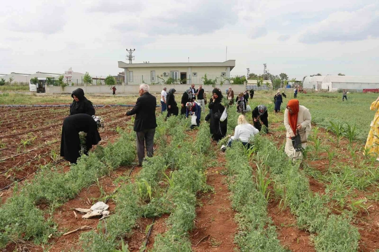 Emekli Kadınlara Doğayla İç İçe Bir Eğitim : Süs Bitkisi Yetiştiriciliği