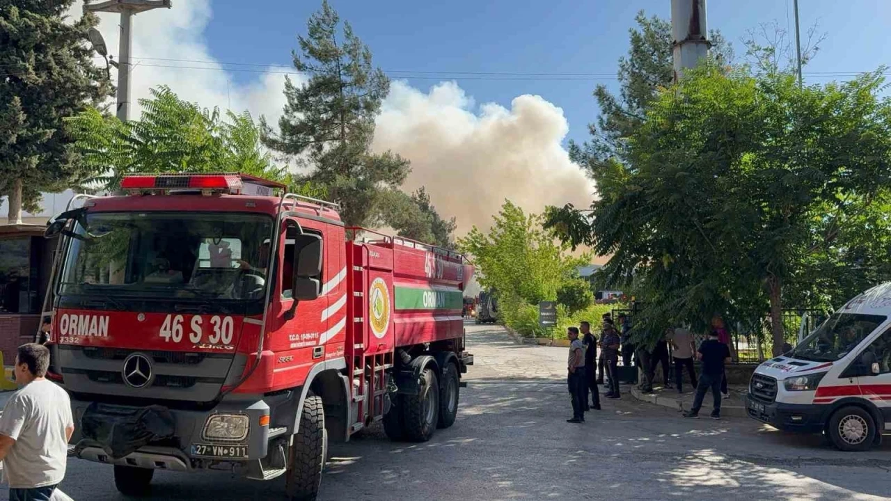 Gaziantep’te halı fabrikasında yangın