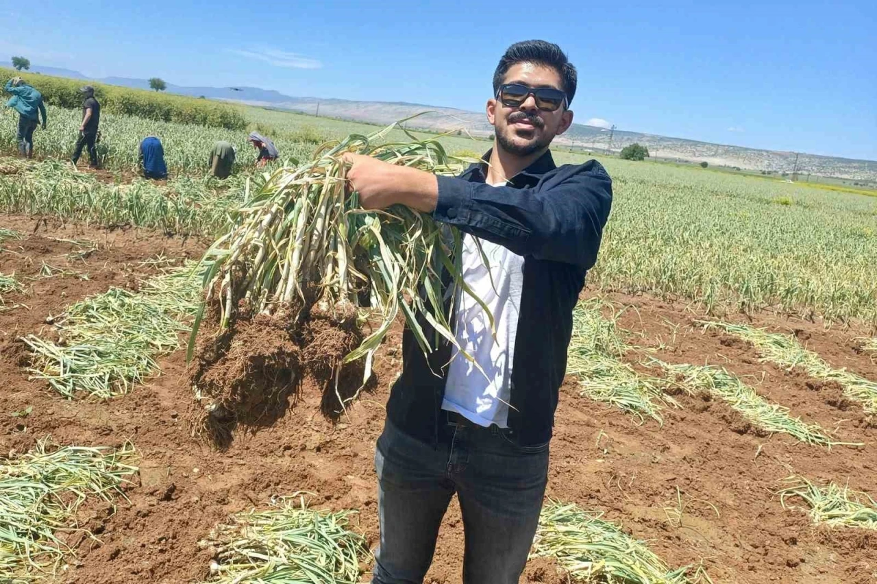 Genç, Baba Mesleğini Bilimle Buluşturdu: Sarımsak İçin Mühendis Oldu