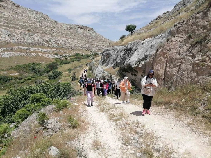 Halfeti'de Doğaseverler Karagül Peşinde: Endemik Çiçeğin İzinde