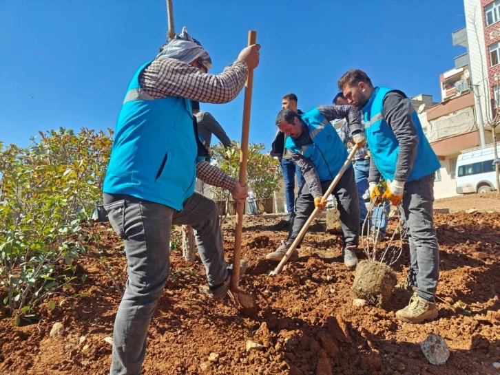 Her Gün Biraz Daha Yeşil: Eyyübiye'nin Çevreci Dönüşümü