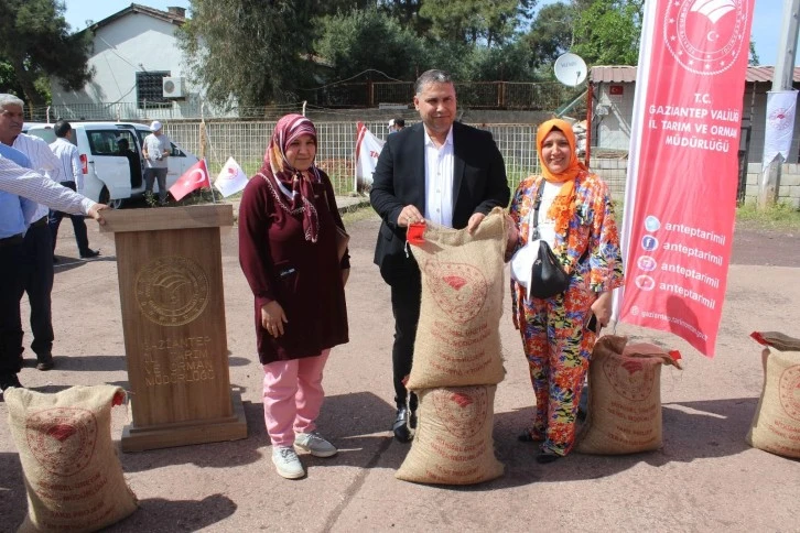 İslahiye'de Çiftçilere Büyük Destek: 12 Ton Yer Fıstığı Tohumu Dağıtıldı