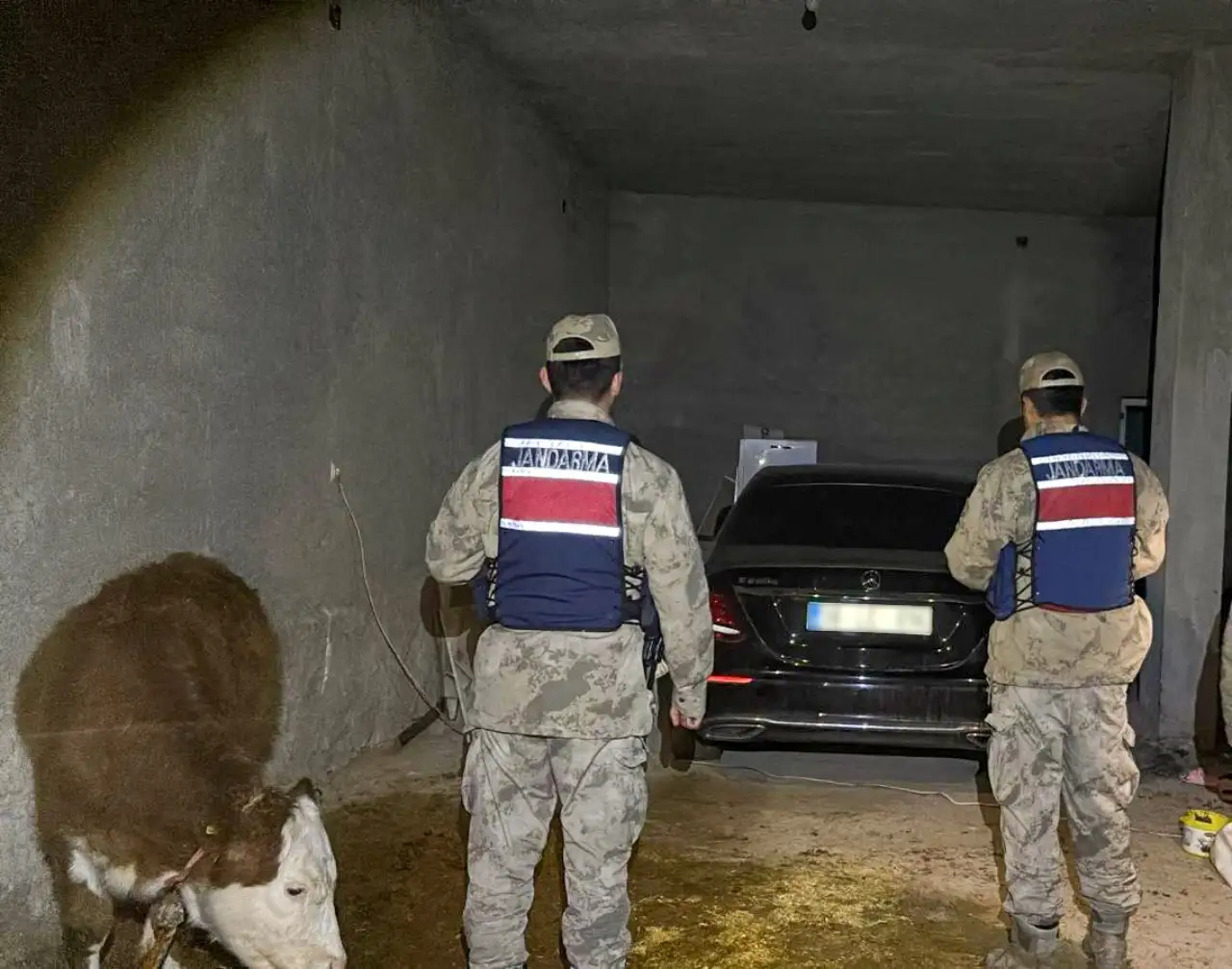 Jandarmadan Ahırda Gizlenen Gece Yarısı &Ccedil;alıntı Ara&ccedil; Operasyonu!