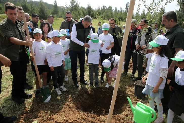 Mardin'de 'Orman Benim' Kampanyası: Fidanlar Toprakla Buluştu