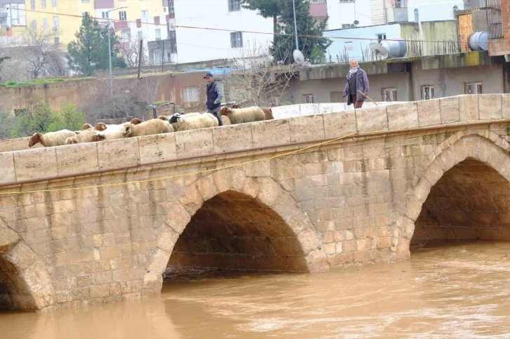 Mardin’de Tarihi Dunaysır Köprüsü Yağışla Birlikte Canlandı