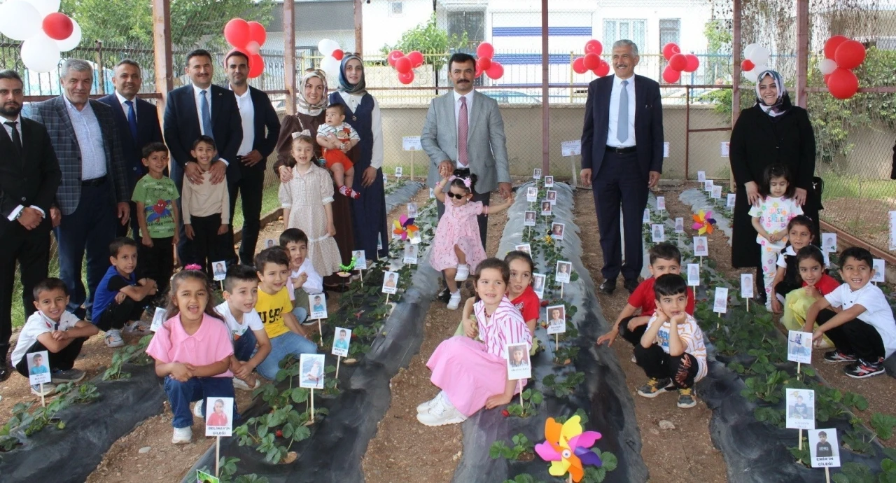 Minik Ellerden Organik Mucize: Çilek Hasadı Coşkusu