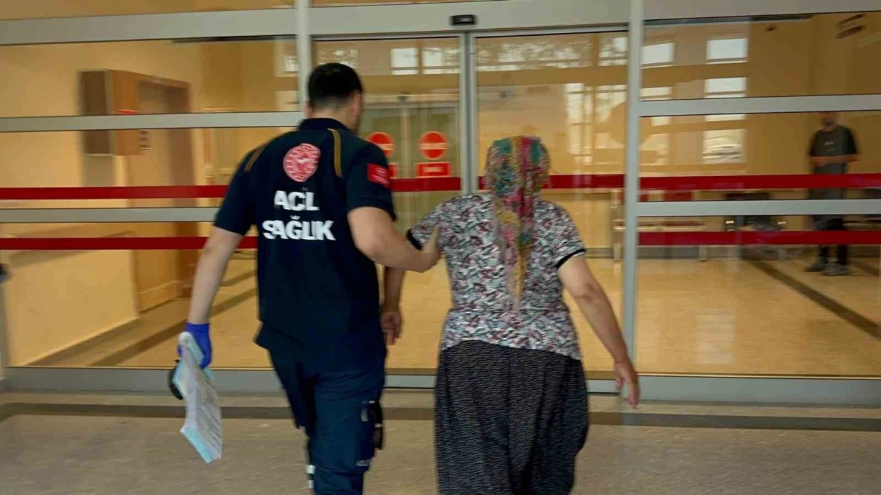  Yılan Isırığı Paniği