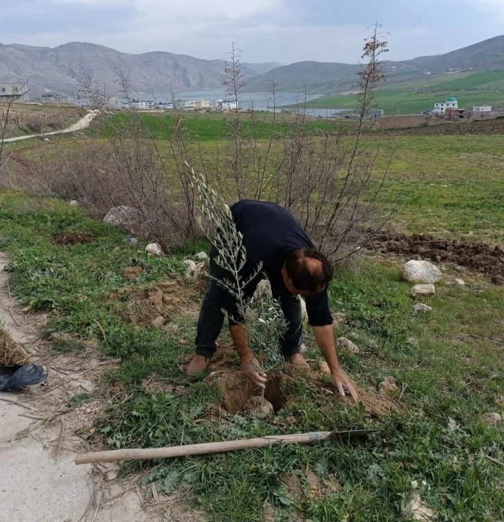 Batman'da Yeşil Kuşak Projesi: Irmak Köyü Yolu Ağaçlandırıldı