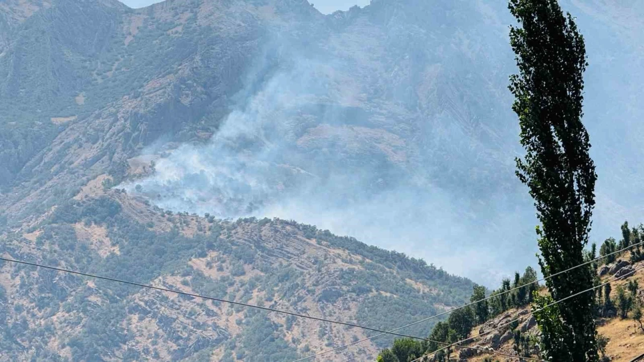 Orman Yangını Alarmı Alevler Saatlerdir Kontrol Altına Alınamıyor