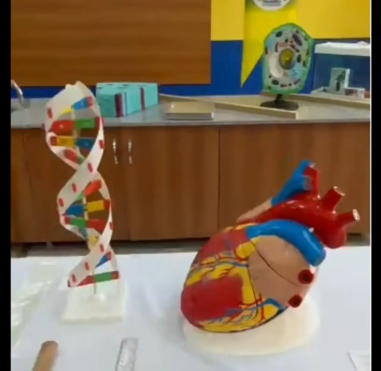 Siverek'te Bilimin Işığı Yandı: Fenerbah&ccedil;eli Doktorlardan Anadolu Lisesi'ne Anlamlı Destek