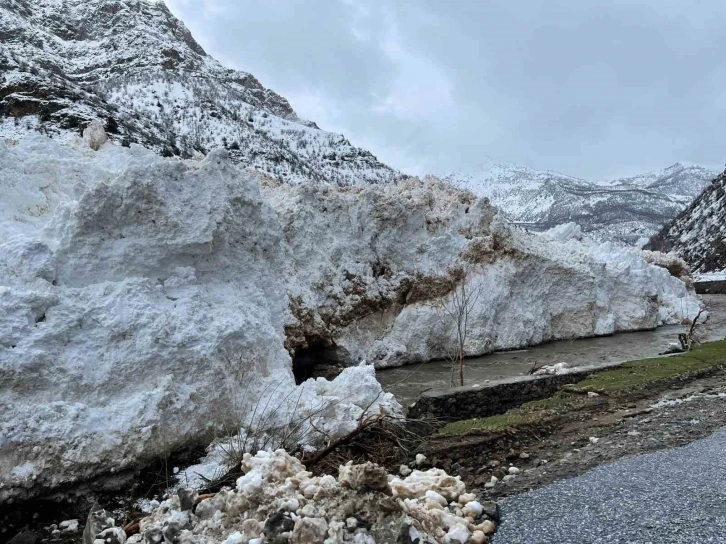 Pervari-Çatak Yolunda Çığ Felaketi: Ulaşım Kesintiye Uğradı