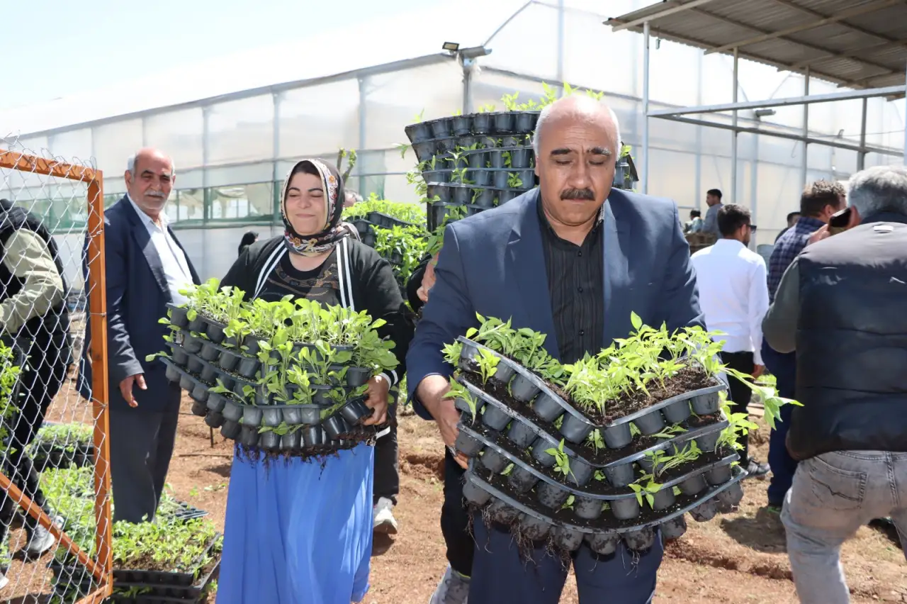 Şanlıurfa&rsquo;da Bereket Seferberliği: 1 Milyon Fide Toprakla Buluşuyor