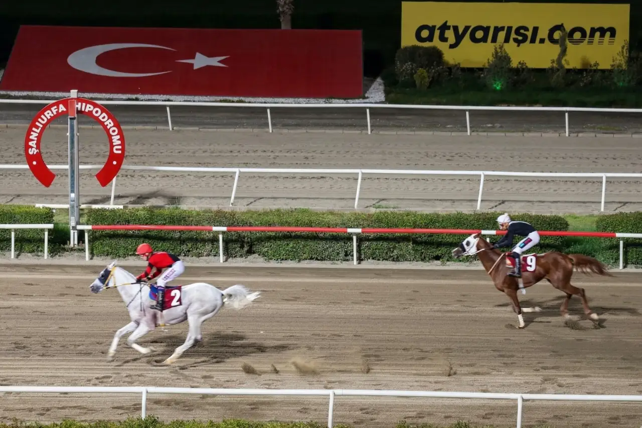 Şanlıurfa'da Kurtuluş Koşusu&rsquo;nda "Anadolu G&uuml;c&uuml;" R&uuml;zgarı Esti!