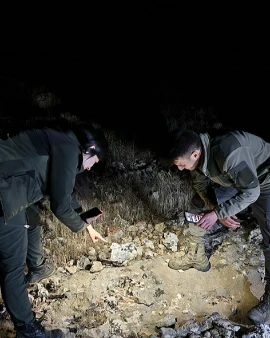 Şanlıurfa'da Nadir Görülen &quot;Leopar Keleri&quot; Keşfedildi