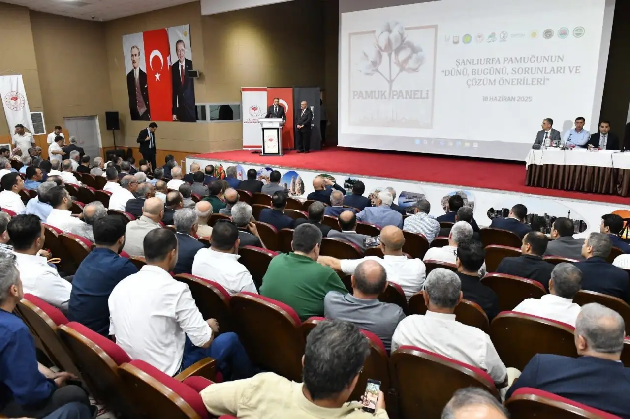 Şanlıurfa’da Pamuk Zirvesi