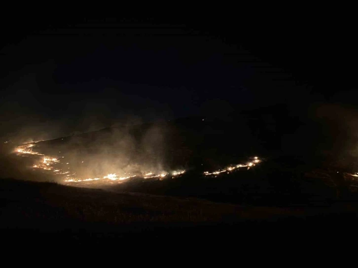 Şanlıurfa Eyyübiye'de Gece Yarısı Orman Yangını