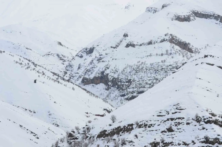 Şırnak’ta Beyaz Örtü Altında Gizlenen Tanin Tanin Dağları Görüntülendi