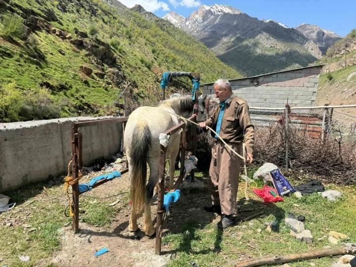 Şırnak'ta Bir Usta Nalbant: 20 Yıldır At ve Katırların Bakımını Yapıyor