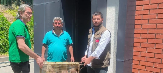 Şırnak'ta Yurda Sokulan 6 Hint Şebeği Ele Geçirildi