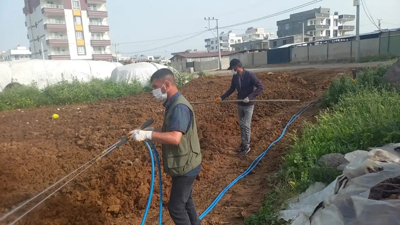 Siverek Belediyesi'nden Çevre Dostu İlaçlama Hamlesi