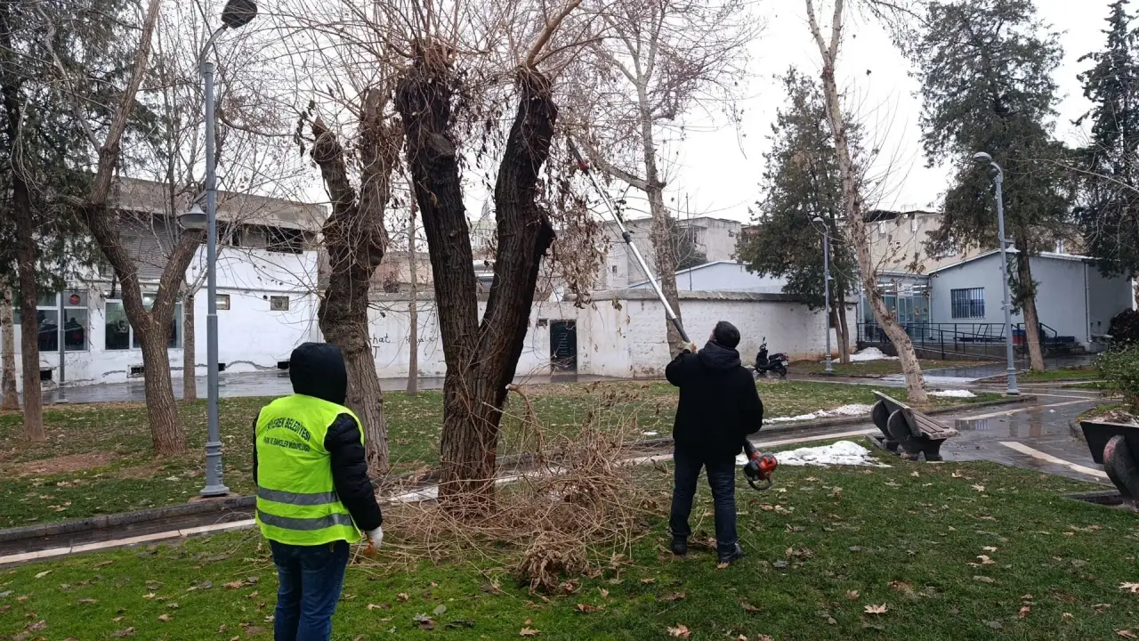 Siverek&rsquo;te Fırtınanın İzleri Siliniyor: Belediye Ekiplerinden Tehlikeli Dallara Anında M&uuml;dahale!