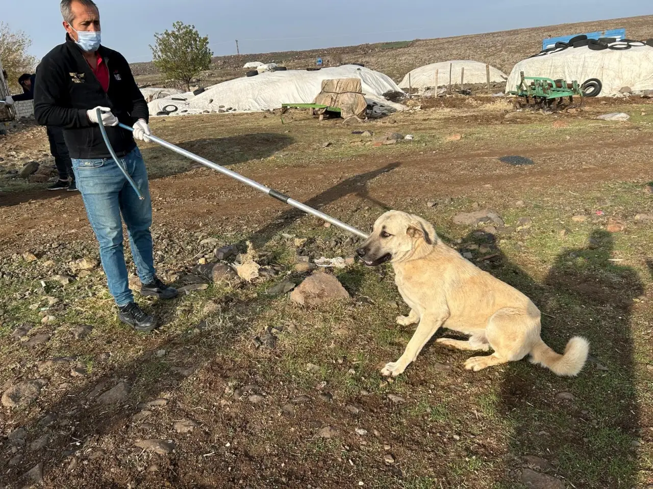 Siverek’te Hasta ve Yaralı Hayvanlara Hızlı Müdahale Devam Ediyor
