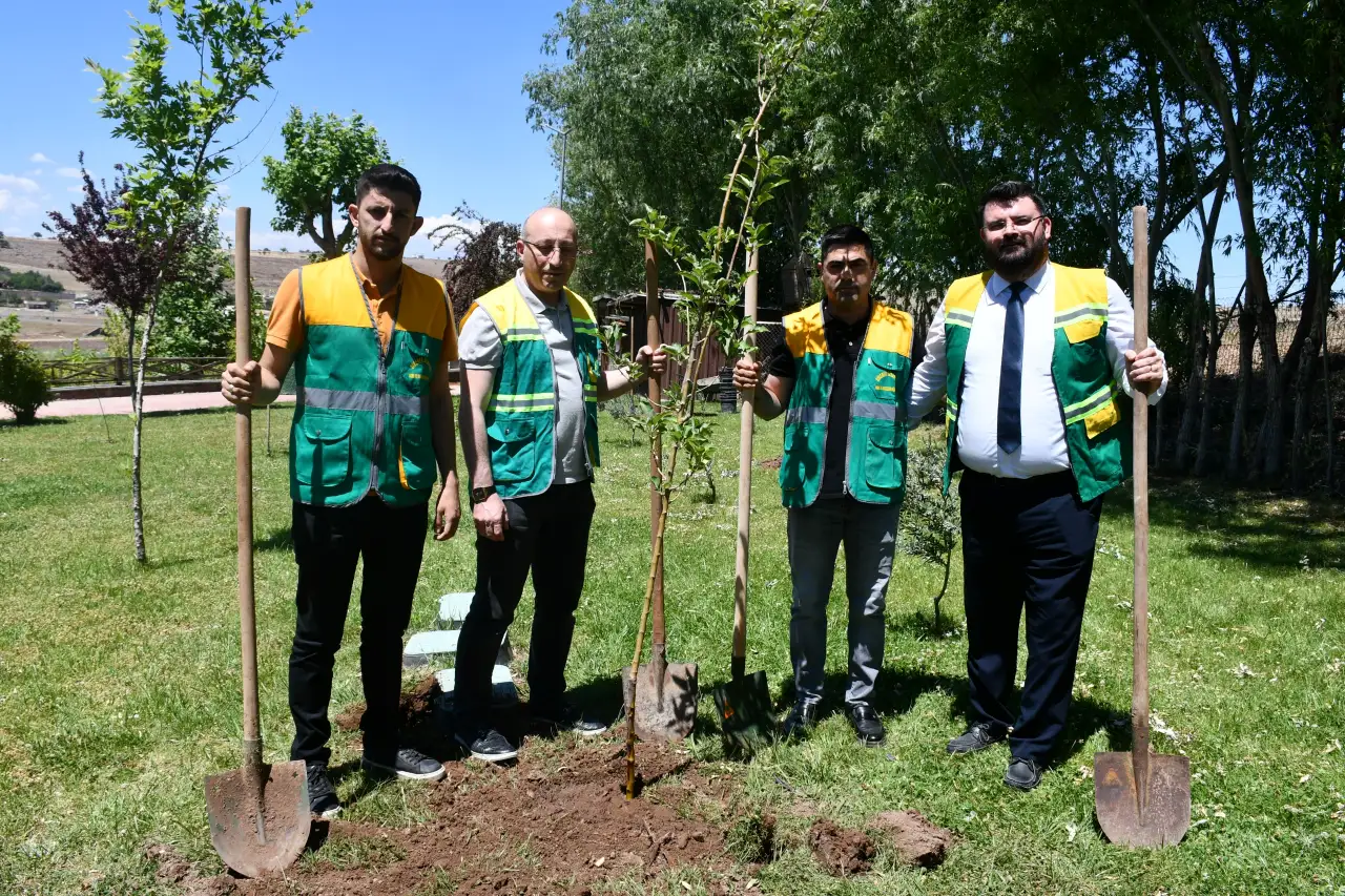 Siverek'te Meyve Ağaçları Toprakla Buluştu