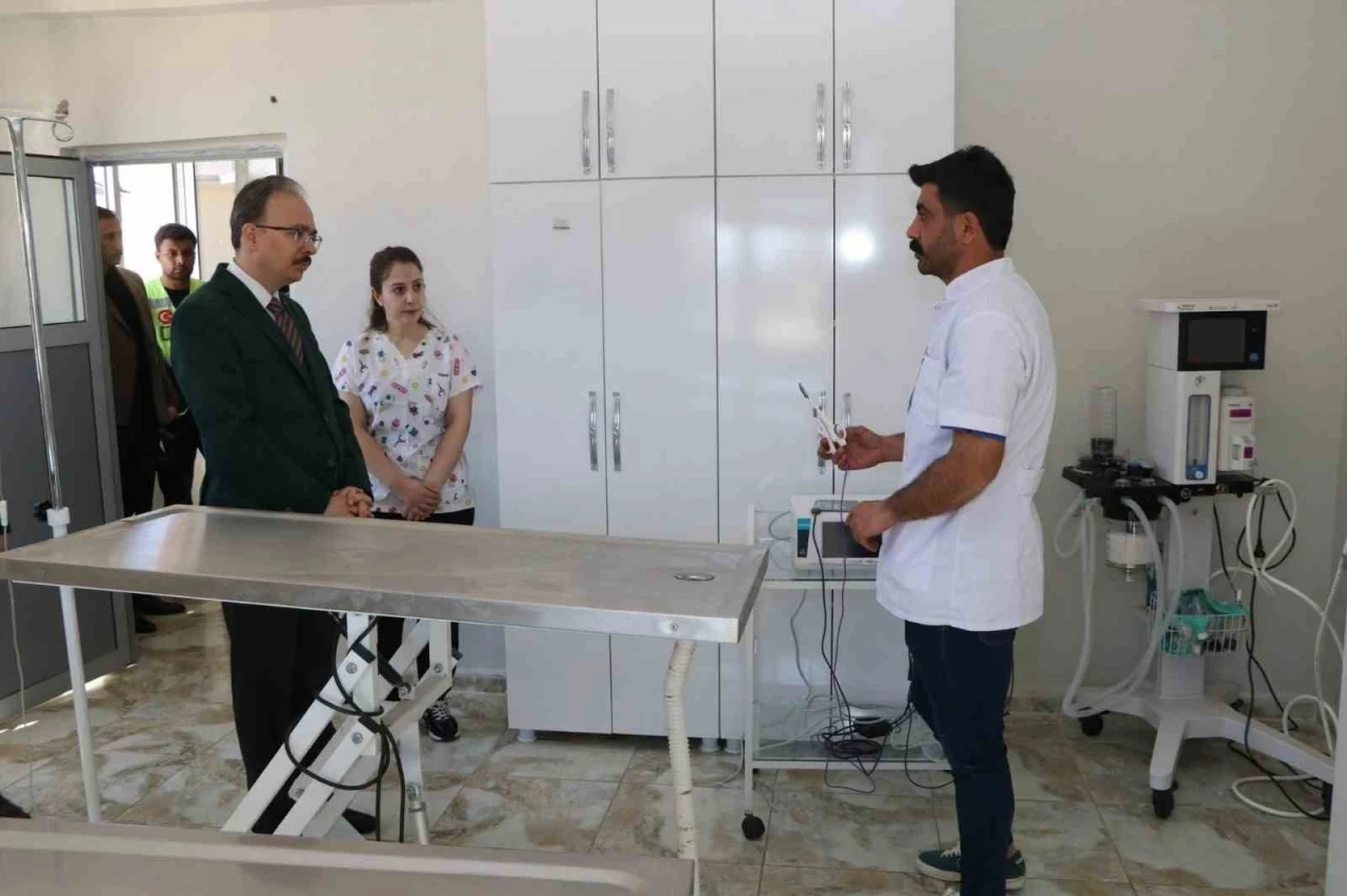 Sokak Hayvanlarına Güvenli Bir Yuva