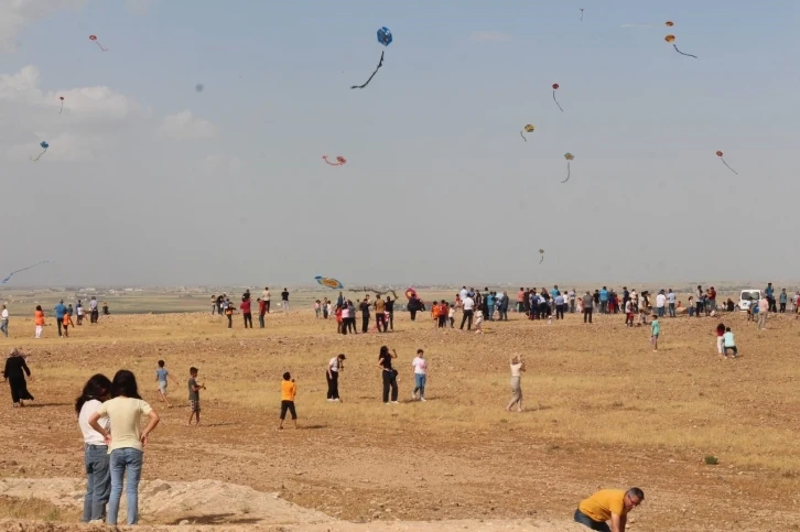 Uçurtmalarla Sınırı Renklendiren Şenlik: Şanlıurfa Ceylanpınar'da Gökyüzü Rengarenk