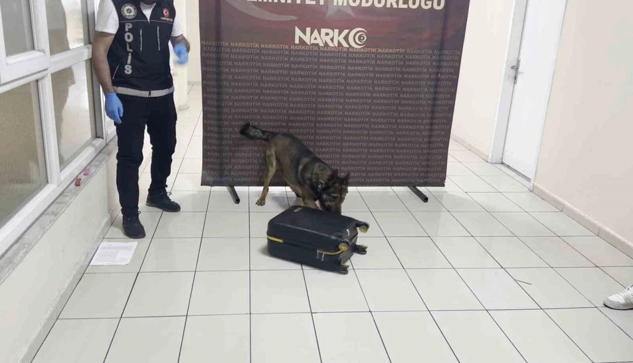 Uyuşturucu Dolu Valiz &quot;Hektor&quot;a Takıldı