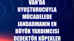 Van'da Narkotik Dedektör Köpeklerin Önemli Başarısı