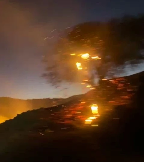 Adıyaman’da Anız Yangını Bahçelere Sıçradı