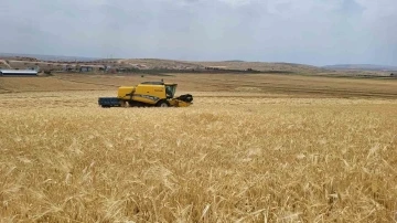 Adıyaman'da Hasat Zamanı